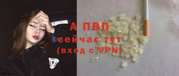 сатива Приозерск