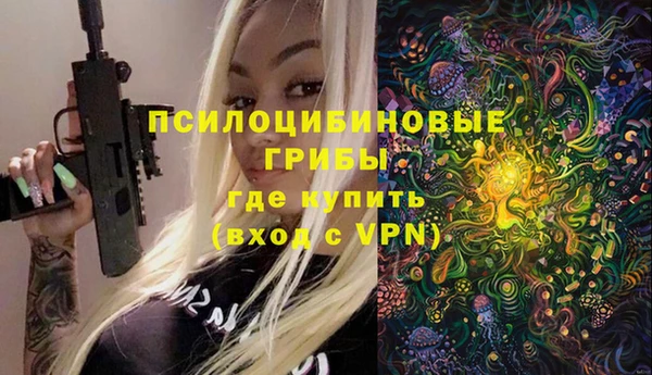 ГАЛЛЮЦИНОГЕННЫЕ ГРИБЫ Кулебаки