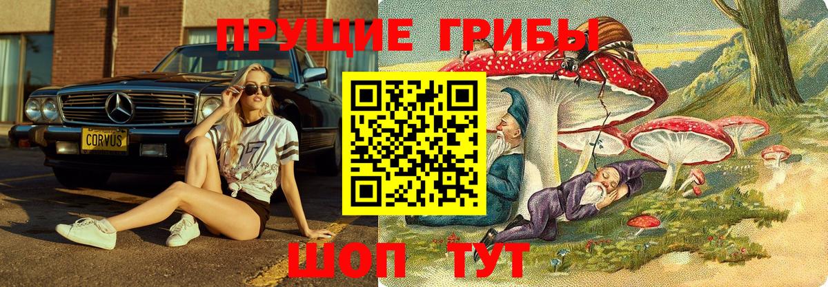 Псилоцибиновые грибы Magic Shrooms Шахты