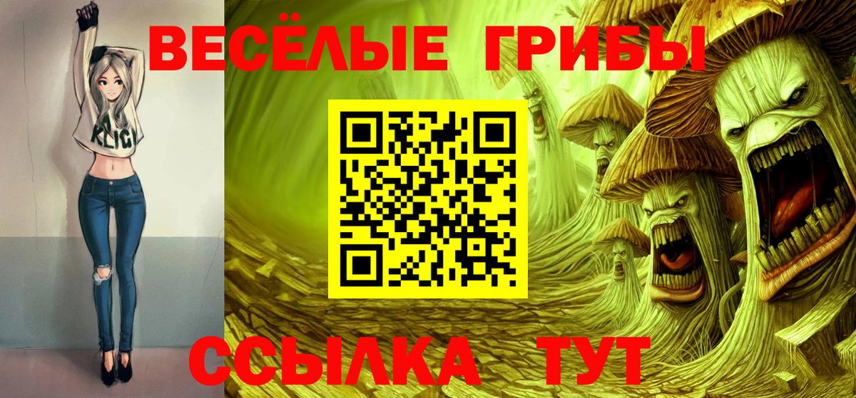 Шахты  Псилоцибиновые грибы Psilocybine cubensis  Вход с VPN 
