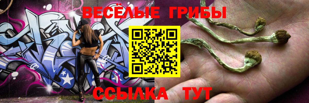 Галлюциногенные грибы MAGIC MUSHROOMS Шахты